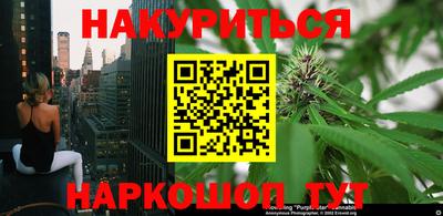 мдпв Гагарин